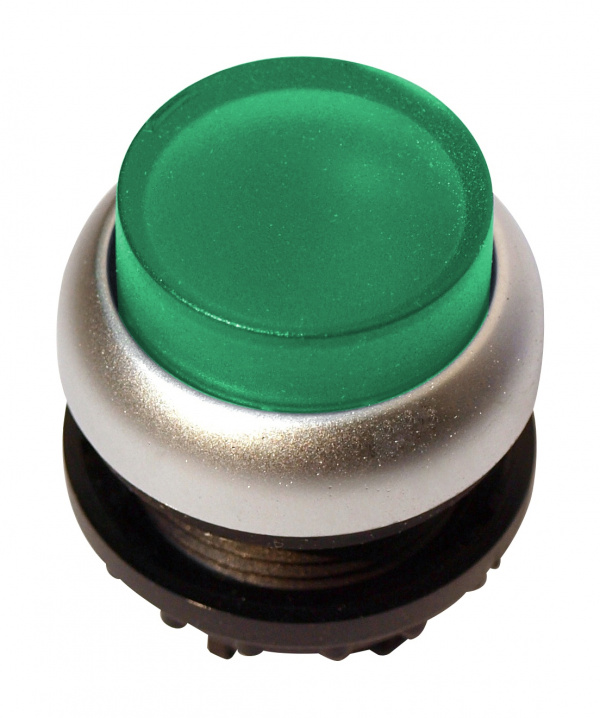 купить MM216969 Schrack Technik Leuchtdrucktaste hoch tastend grün