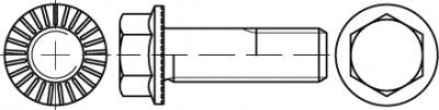 купить TOOLCRAFT  TO-5444532 Sechskantschrauben M12 30 mm