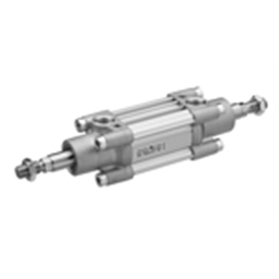 купить R480069994 Aventics PISTON ROD CYLINDER PRA-DA-100-0050-0-2-2-3-1-1-BAS