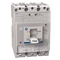 купить 140MG-H8E-D10-SD-AJ-MT Allen-Bradley Circuit breaker / 3-Pole / Current: 100 A