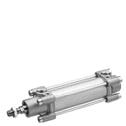 купить R480141842 Aventics PISTON ROD CYLINDER TRB-DA-100-0125-0-1-2-1-1-1-BAS