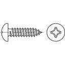 купить TOOLCRAFT 144996  Linsenblechschrauben 3.9 mm 45 m