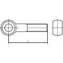 купить TOOLCRAFT  TO-5381316 Augenschrauben M20 90 mm  DI