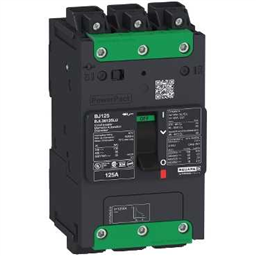 купить BJL36015LU Schneider Electric Мощность пактом выключатель B-