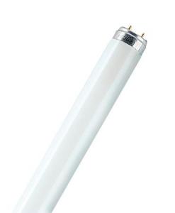 купить Лампа люминесцентная L 18W/827 LUMILUX 18Вт T8 2700К G13 OSRAM 4050300517834
