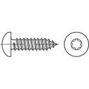 купить TOOLCRAFT 145156  Linsenblechschrauben 4.2 mm 25 m