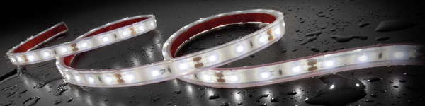 купить Staudte-Hirsch 570031 SH-5.620 24 V LED-Strip, LED