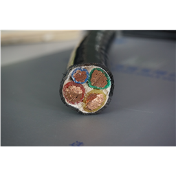 купить 4.001.001.033 Zhuozhong Cable Cross-Linked PE Insulation Power Cable 0.6/1kV 3?25+1?16