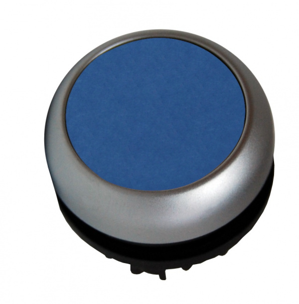 купить MM216952 Schrack Technik Leuchtdrucktaste flach rastend blau