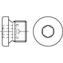 купить TOOLCRAFT  112744 Verschlussschrauben 1/2 Zoll  In