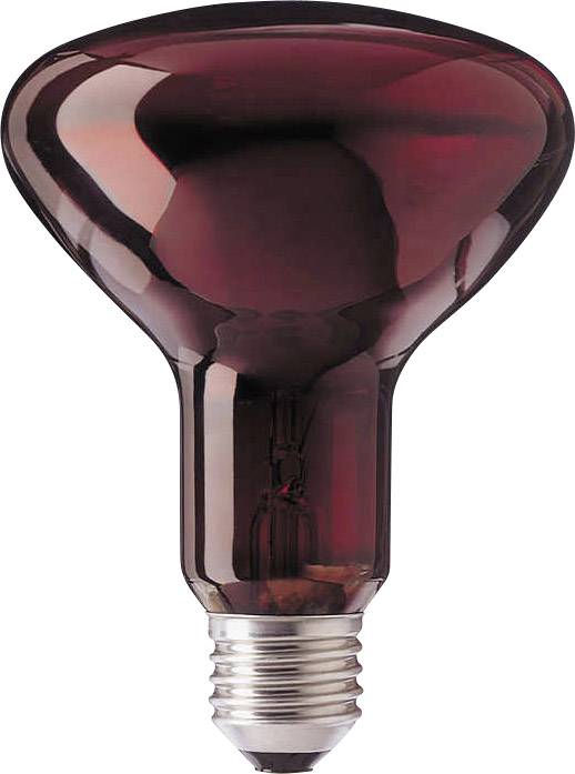 купить Infrarotlampe E27 100 W (d x L) 95 mm x 130 mm 230