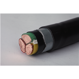 купить 4.001.001.069 Zhuozhong Cable Cross-Linked PE insulation steel strip armored PVC sheath power cable 0.6/1kV 3?25