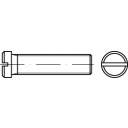 купить TOOLCRAFT  118888 Flachkopfschrauben M3 12 mm Schl