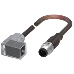 купить BCC04NC Balluff Double-ended cordset, C, DIN-0°/180°-Valve connector, 4-pole angled, PUR, Male straight M12x1, 0.30 m, Drag chain compatible