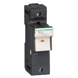 купить DF221V Schneider Electric TeSys держатель предохранителя - 1 P 125A