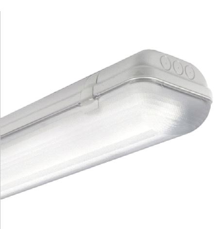 купить LI2JL58765 Schrack Technik Linda Basic LED 2x23W, 4000K, 6821lm, IP65, grau, L=1570mm