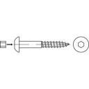 купить TOOLCRAFT  159345 Halbrund-Holzschrauben 10 mm 100