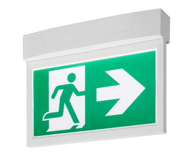 купить LI240002 Schrack Technik P-LIGHT Emergency Series Exit sign BIG ceiling/wall white