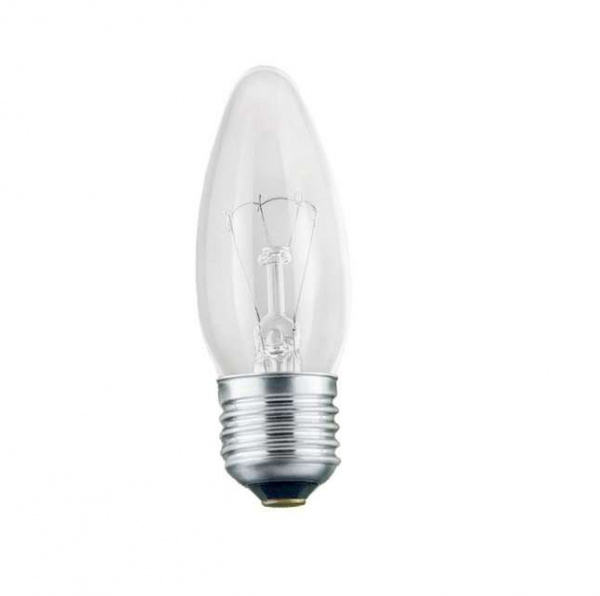 купить Лампа накаливания ДС 230-60Вт E27 (100) Favor 8109012