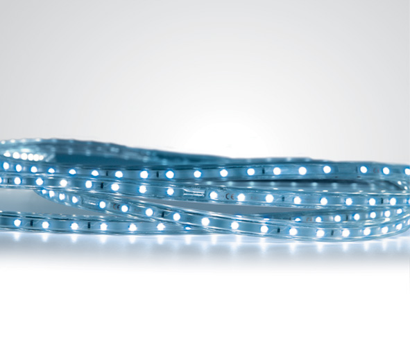 купить LID13139 Schrack Technik Larra LED Strip 230V 6W/m, 60LEDs/m, blau, PVC, IP65