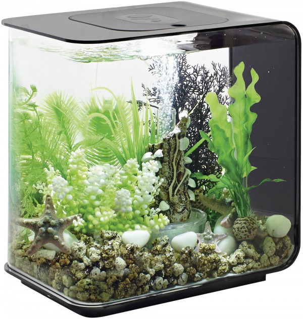 купить Oase 45910 Aquarium   15 l mit LED-Beleuchtung