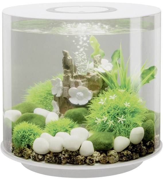 купить Oase 45930 Aquarium   15 l mit LED-Beleuchtung