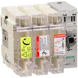 купить GS2KG3 Schneider Electric TeSys GS - Выключатель-разъединитель-предохранитель 3P, 125A