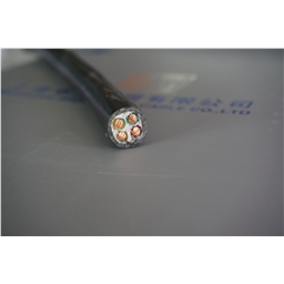 купить 4.001.001.029 Zhuozhong Cable Cross-Linked PE Insulation Power Cable 0.6/1kV 3?4+1?2.5