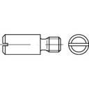 купить TOOLCRAFT  119080 Zapfenschrauben M6 10 mm Schlitz