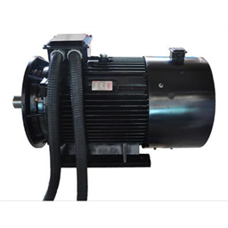 купить CMT29S40-22 CCM Motors Three phase permanent magnet synchronous motor