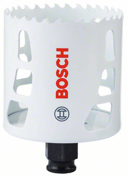 купить Bosch Accessories  2608580981 Lochsaege    1 St.