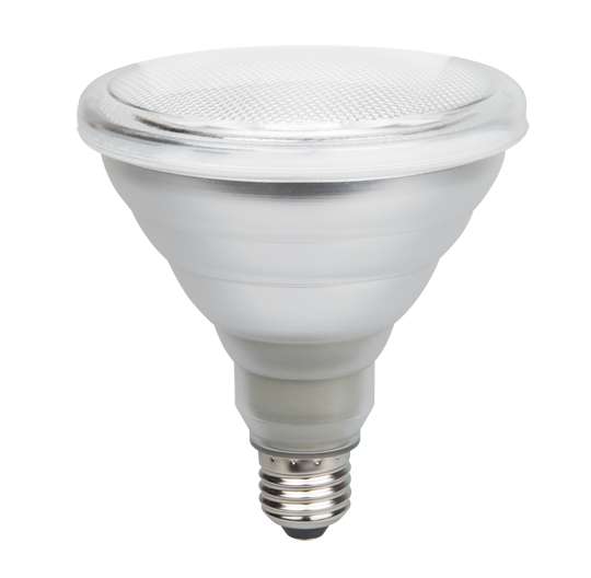 купить Лампа светодиодная PPG PAR38 Agro 15Вт E27 185-265В красн./син. для растений JazzWay 5004702