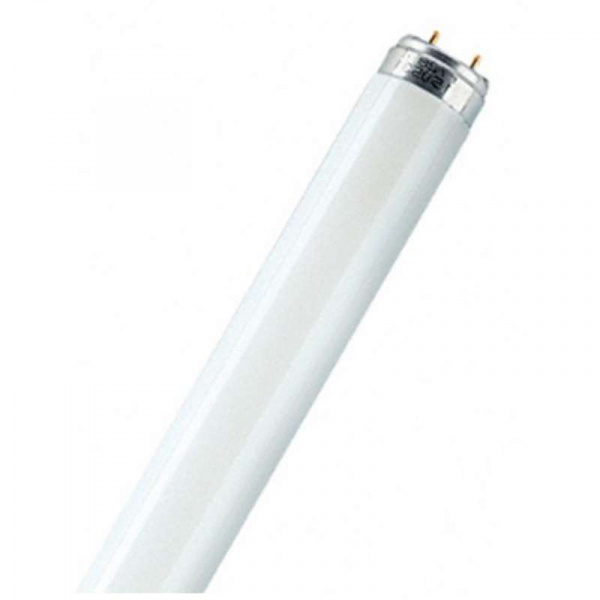 купить Лампа люминесцентная L 30W/765 30Вт T8 6500К G13 OSRAM 4008321959706