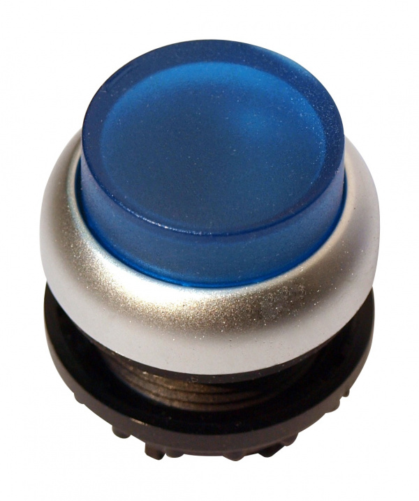 купить MM216973 Schrack Technik Leuchtdrucktaste hoch tastend blau