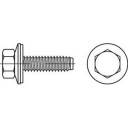 купить TOOLCRAFT  1070009 Fassadenschrauben 6.3 mm 50 mm