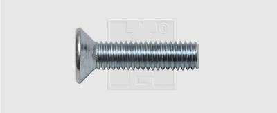 купить SWG   Gewindeschrauben-Sortiment M6 60 mm Kreuzsch