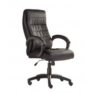 купить Кресло BN_Dp_EChair-648 TPU кожзам черный, пластик черный