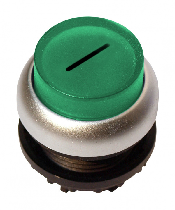 купить MM216977 Schrack Technik Leuchtdrucktaste hoch tastend grün "1"