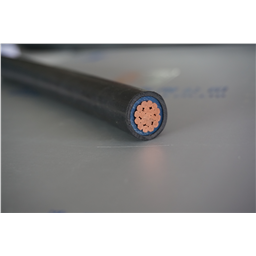 купить 4.001.001.002 Zhuozhong Cable Cross-Linked PE Insulation Power Cable 0.6/1kV 1?2.5