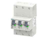 Siemens 5SP38503 Hauptleitungsschutzschalter     5