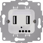 2USB 2U-449498 1fach Unterputz-Einsatz   IP20 Hell