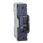 18838 Schneider Electric Miniature circuit breaker NG125L 80A 1P D