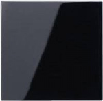 Jung 1fach Einsatz Taster  Schwarz A590SW