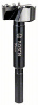 Bosch Accessories 2608577013 Forstnerbohrer 30 mm