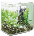 Oase 45915 Aquarium   15 l mit LED-Beleuchtung