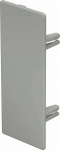 OBO Bettermann 6024823 Endstueck  (B x H) 60 mm x 1