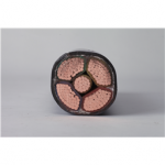 4.001.001.067 Zhuozhong Cable Cross-Linked PE Insulation Power Cable 0.6/1kV 4?240+1?120