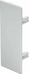 OBO Bettermann 6175570 Endstueck  (B x H) 60 mm x 1