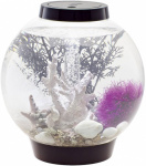 Oase 45616 Aquarium   15 l mit LED-Beleuchtung