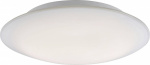Paul Neuhaus QВ® LED Decken- und Wandleuchte QВ®-Ark